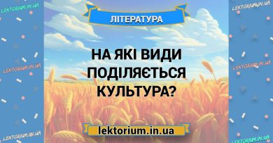 На які види поділяється культура