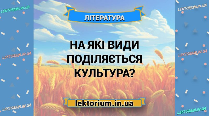 На які види поділяється культура