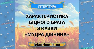 Характеристика Бідного брата з казки «Мудра дівчина»