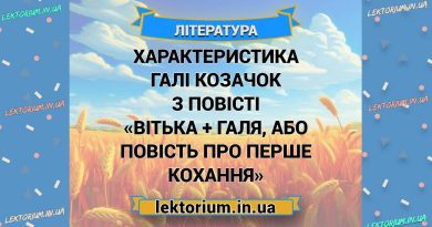 Характеристика Галі Козачок з повісті «Вітька + Галя, або Повість про перше кохання»