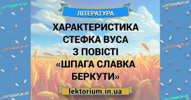 Характеристика Стефка Вуса з повісті «Шпага Славка Беркути»