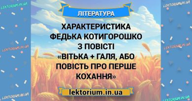 Характеристика Федька Котигорошко з повісті «Вітька + Галя, або Повість про перше кохання»