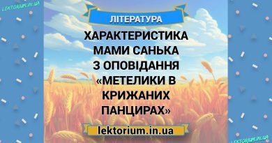 Характеристика мами Санька з оповідання «Метелики в крижаних панцирах»