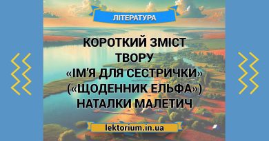 Короткий зміст твору «Ім’я для сестрички» («Щоденник Ельфа») Наталки Малетич