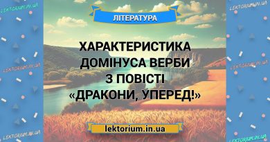 Характеристика Домінуса Верби з повісті «Дракони, уперед!»