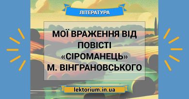 Мої враження від повісті «Сіроманець» М. Вінграновського
