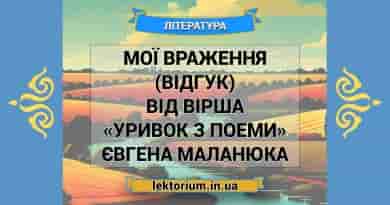 Мої враження (відгук) від вірша «Уривок з поеми» Євгена Маланюка