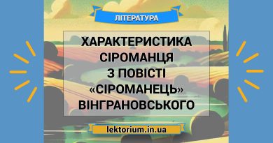 Характеристика Сіроманця з повісті «Сіроманець» Вінграновського