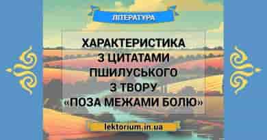 Характеристика з цитатами Пшилуського з твору «Поза межами болю»