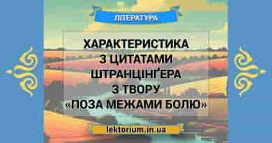 Характеристика з цитатами Штранцінґера з твору «Поза межами болю»