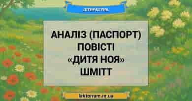 Аналіз (паспорт) повісті «Дитя Ноя» Шмітт