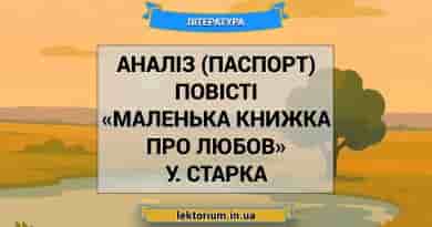 Аналіз (паспорт) повісті «Маленька книжка про любов» У. Старка