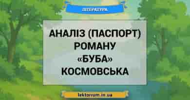 Аналіз (паспорт) роману «Буба» Космовська