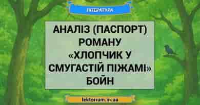 Аналіз (паспорт) роману «Хлопчик у смугастій піжамі» Бойн