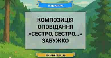 Композиція оповідання «Сестро, сестро…» Забужко