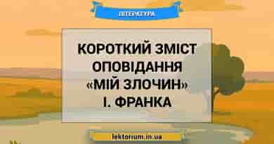 Короткий зміст оповідання «Мій злочин» І. Франка