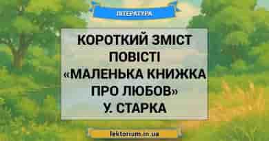 Короткий зміст повісті «Маленька книжка про любов» У. Старка