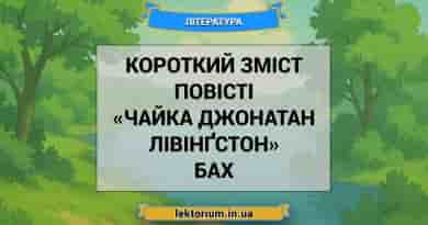 Короткий зміст повісті «Чайка Джонатан Лівінґстон» Бах