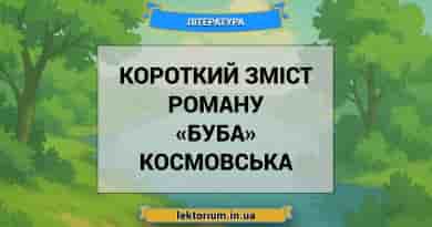 Короткий зміст роману «Буба» Космовська