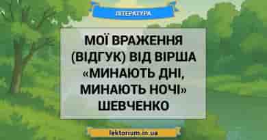 Мої враження (відгук) від вірша «Минають дні, минають ночі» Шевченко