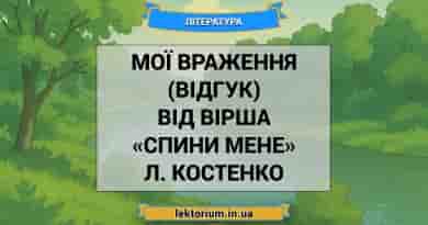 Мої враження (відгук) від вірша «Спини мене» Л. Костенко