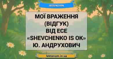 Мої враження (відгук) від есе «Shevchenko is OK» Ю. Андрухович