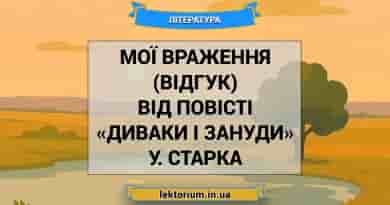 Мої враження (відгук) від повісті «Диваки і зануди» У. Старка