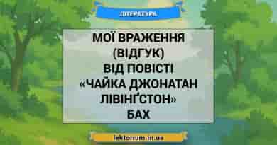 Мої враження (відгук) від повісті «Чайка Джонатан Лівінґстон» Бах
