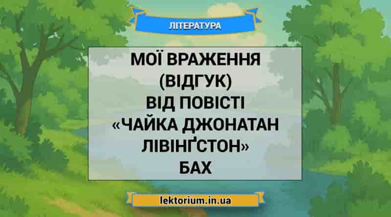 Мої враження (відгук) від повісті «Чайка Джонатан Лівінґстон» Бах