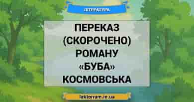 Переказ (скорочено) роману «Буба» Космовська