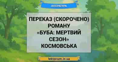 Переказ (скорочено) роману «Буба_ мертвий сезон» Космовська