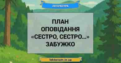 План оповідання «Сестро, сестро…» Забужко