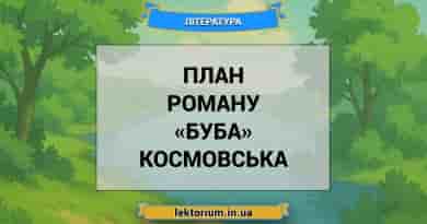 План роману «Буба» Космовська
