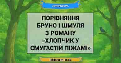 Порівняння Бруно і Шмуля з роману «Хлопчик у смугастій піжамі»