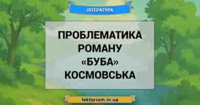 Проблематика роману «Буба» Космовська