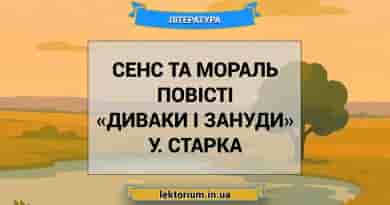 Сенс та мораль повісті «Диваки і зануди» У. Старка