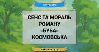 Сенс та мораль роману «Буба» Космовська