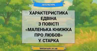 Характеристика Едвіна з повісті «Маленька книжка про любов» У. Старка