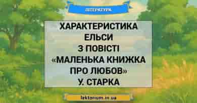 Характеристика Ельси з повісті «Маленька книжка про любов» У. Старка