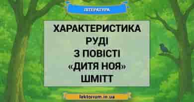 Характеристика Руді з повісті «Дитя Ноя» Шмітт