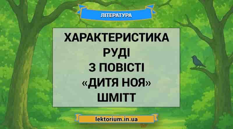 Характеристика Руді з повісті «Дитя Ноя» Шмітт