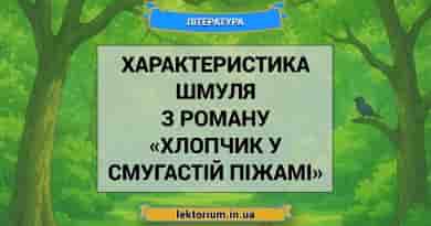Характеристика Шмуля з роману «Хлопчик у смугастій піжамі»