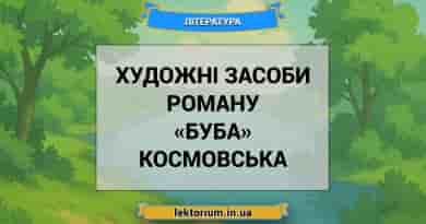 Художні засоби роману «Буба» Космовська