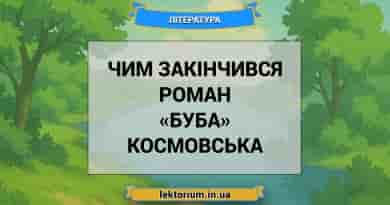 Чим закінчився роман «Буба» Космовська