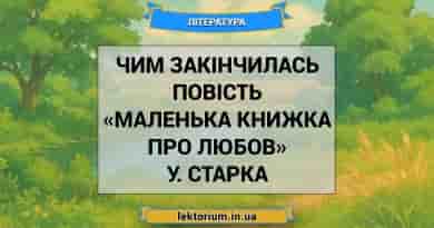 Чим закінчилась повість «Маленька книжка про любов» У. Старка
