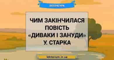 Чим закінчилася повість «Диваки і зануди» У. Старка