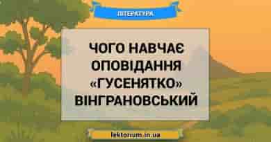 Чого навчає оповідання «Гусенятко» Вінграновський