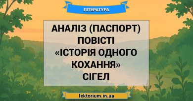 Аналіз (паспорт) повісті «Історія одного кохання» Сігел
