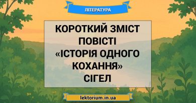 Короткий зміст повісті «Історія одного кохання» Сігел