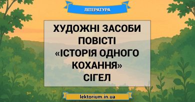 Художні засоби повісті «Історія одного кохання» Сігел